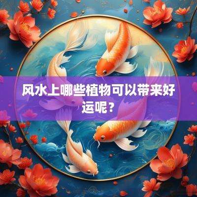 风水上哪些植物可以带来好运呢？