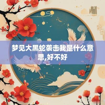 梦见大黑蛇袭击我是什么意思,好不好