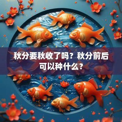 秋分要秋收了吗？秋分前后可以种什么？