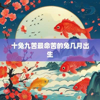 十兔九苦最命苦的兔几月出生