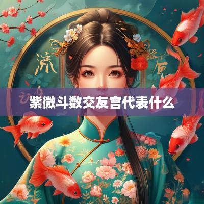 紫微斗数交友宫代表什么