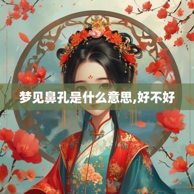 梦见鼻孔是什么意思,好不好