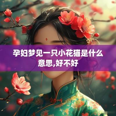 孕妇梦见一只小花猫是什么意思,好不好