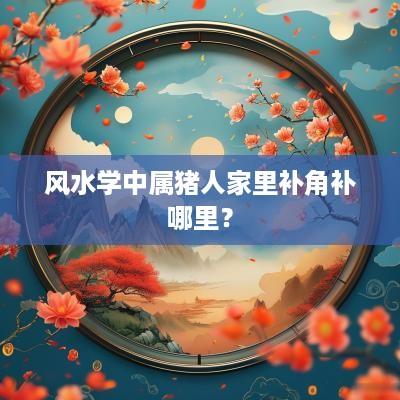 风水学中属猪人家里补角补哪里？