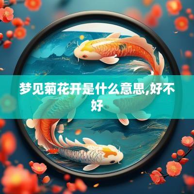 梦见菊花开是什么意思,好不好
