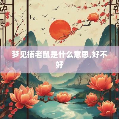 梦见捕老鼠是什么意思,好不好