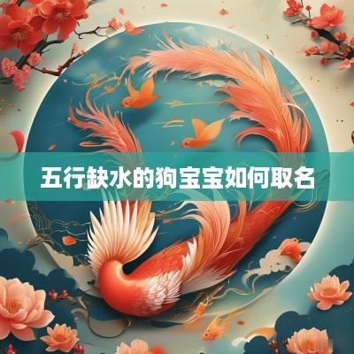 五行缺水的狗宝宝如何取名