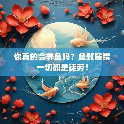 你真的会养鱼吗？鱼缸摆错一切都是徒劳！