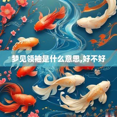 梦见领袖是什么意思,好不好