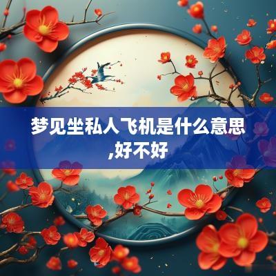 梦见坐私人飞机是什么意思,好不好