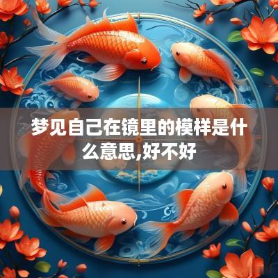 梦见自己在镜里的模样是什么意思,好不好
