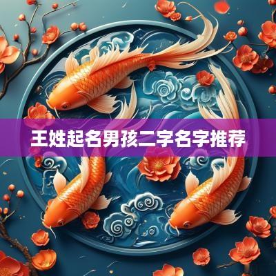 王姓起名男孩二字名字推荐