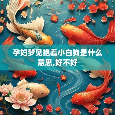 孕妇梦见抱着小白狗是什么意思,好不好