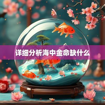 详细分析海中金命缺什么