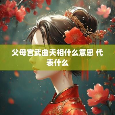 父母宫武曲天相什么意思 代表什么
