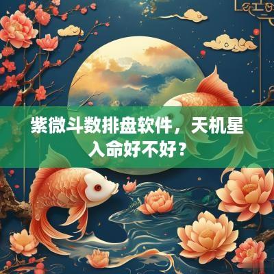 紫微斗数排盘软件，天机星入命好不好？
