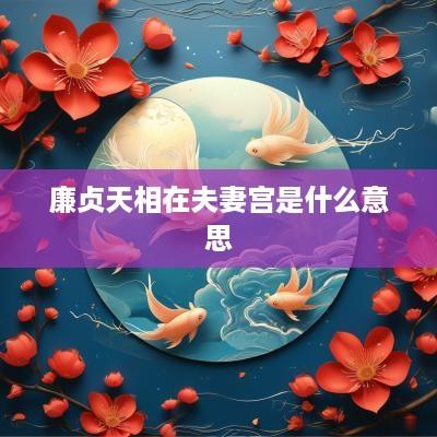 廉贞天相在夫妻宫是什么意思