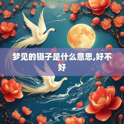 梦见的镊子是什么意思,好不好
