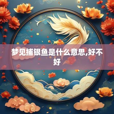 梦见捕银鱼是什么意思,好不好