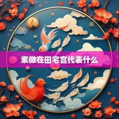 紫微在田宅宫代表什么