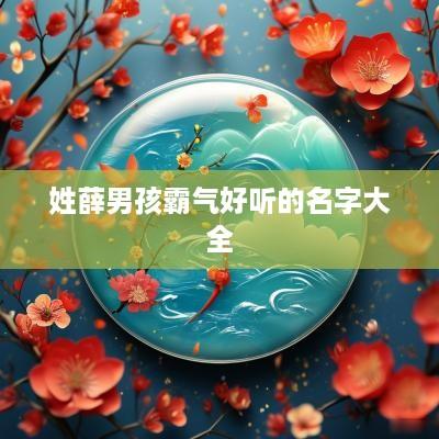 姓薛男孩霸气好听的名字大全