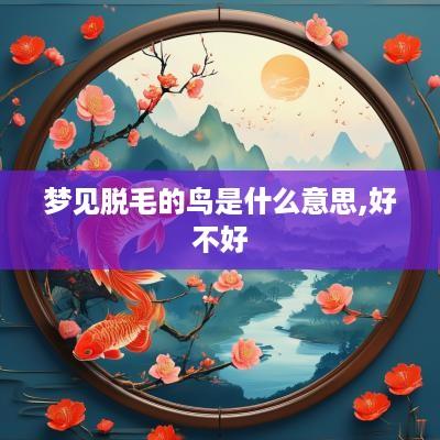 梦见脱毛的鸟是什么意思,好不好