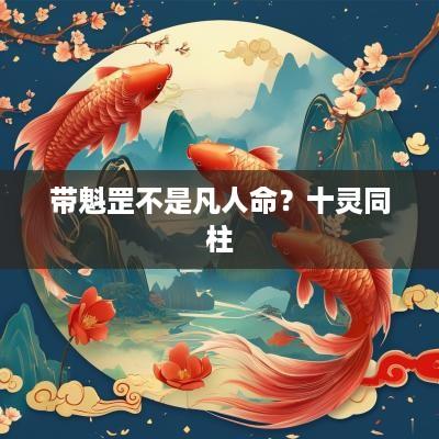 带魁罡不是凡人命？十灵同柱