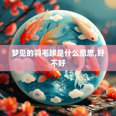梦见的羽毛球是什么意思,好不好