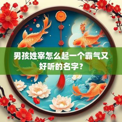男孩姓宰怎么起一个霸气又好听的名字？
