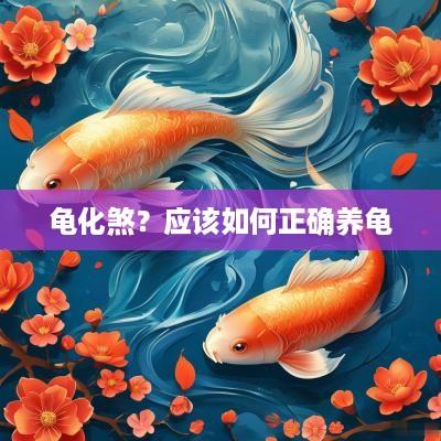 龟化煞？应该如何正确养龟