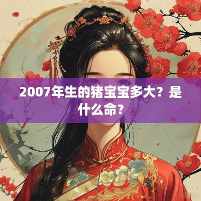 2007年生的猪宝宝多大？是什么命？