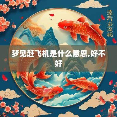 梦见赶飞机是什么意思,好不好