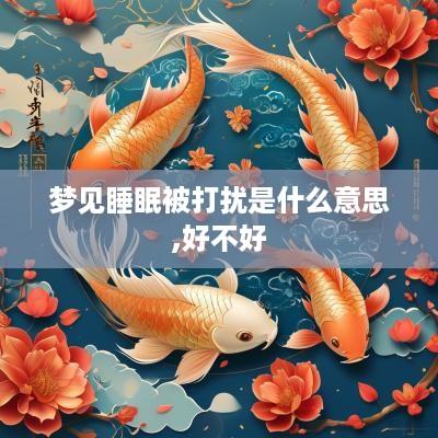 梦见睡眠被打扰是什么意思,好不好