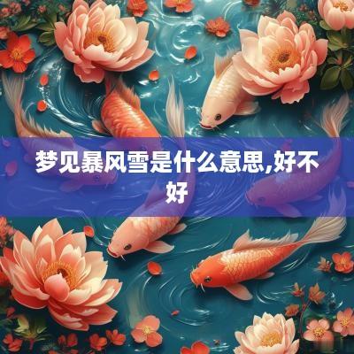 梦见暴风雪是什么意思,好不好
