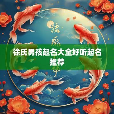 徐氏男孩起名大全好听起名推荐