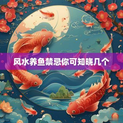 风水养鱼禁忌你可知晓几个