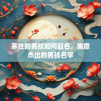 茅姓的男孩如何起名，寓意杰出的男孩名字