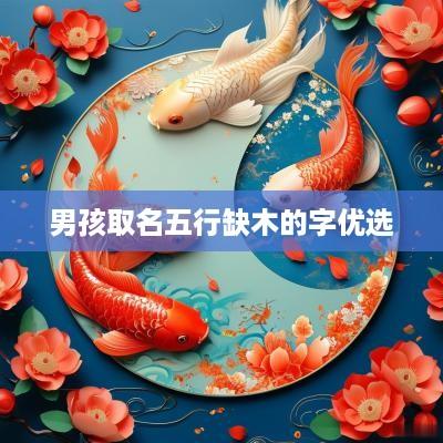 男孩取名五行缺木的字优选