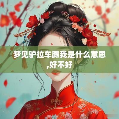 梦见驴拉车踢我是什么意思,好不好