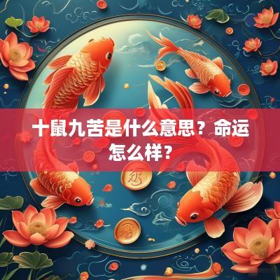 十鼠九苦是什么意思？命运怎么样？
