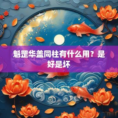 魁罡华盖同柱有什么用？是好是坏
