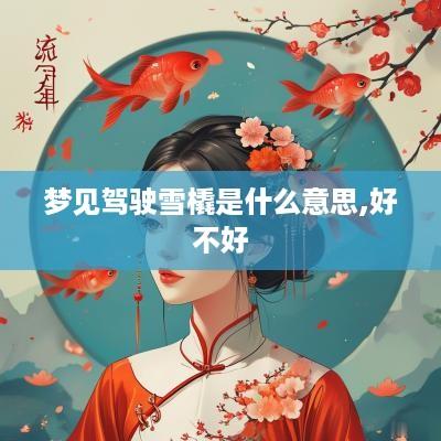 梦见驾驶雪橇是什么意思,好不好