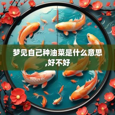 梦见自己种油菜是什么意思,好不好