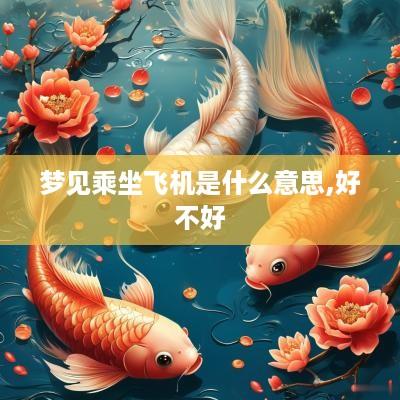 梦见乘坐飞机是什么意思,好不好