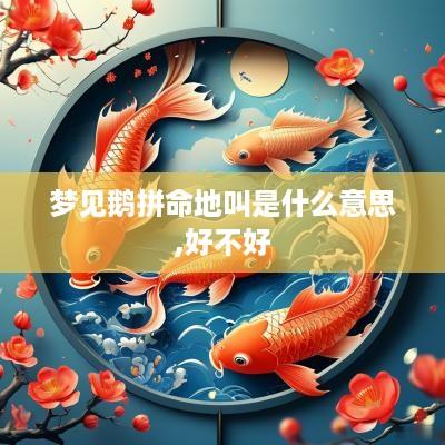 梦见鹅拼命地叫是什么意思,好不好