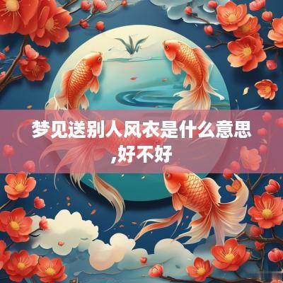 梦见送别人风衣是什么意思,好不好