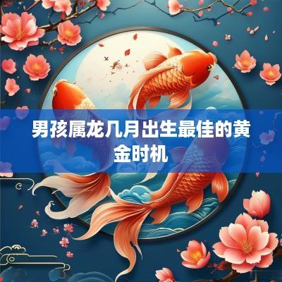 男孩属龙几月出生最佳的黄金时机