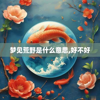 梦见荒野是什么意思,好不好