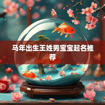 马年出生王姓男宝宝起名推荐