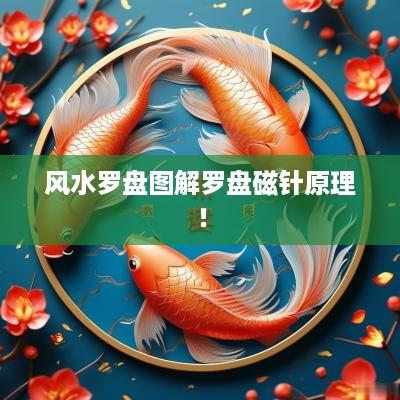 风水罗盘图解罗盘磁针原理！